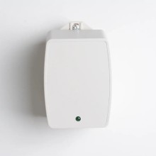 LED Garden Spike Light