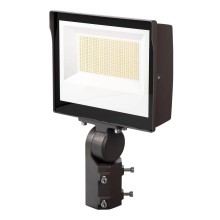 LED Outdoor Floodlight